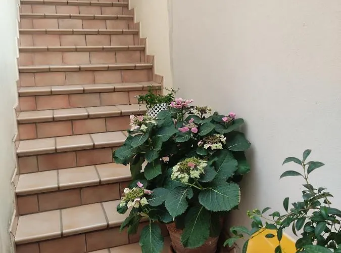 Vakantiehuis Corte Lavito *